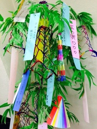 勉強って、、、種。