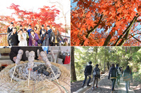 紅葉シーズン中の高尾山遠足