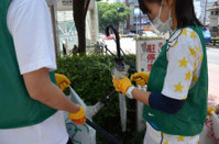 表参道一帯を大清掃☆