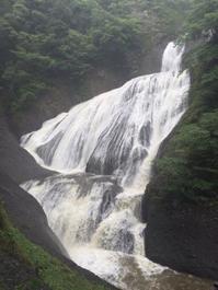 梅雨の楽しみ方