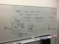 新宿代々木で生物の授業