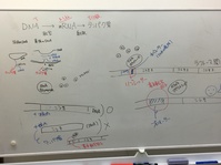 生物の授業　どんどん増えていくタンパク質