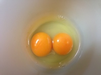 一卵に二黄味