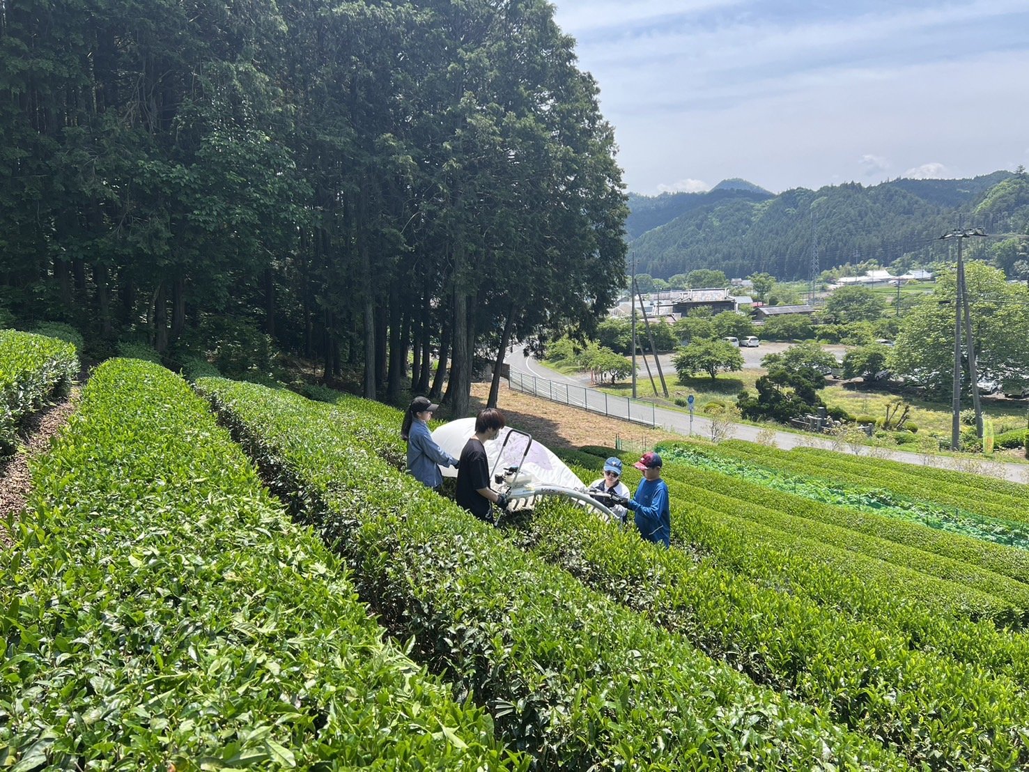 1S__56295438.jpg