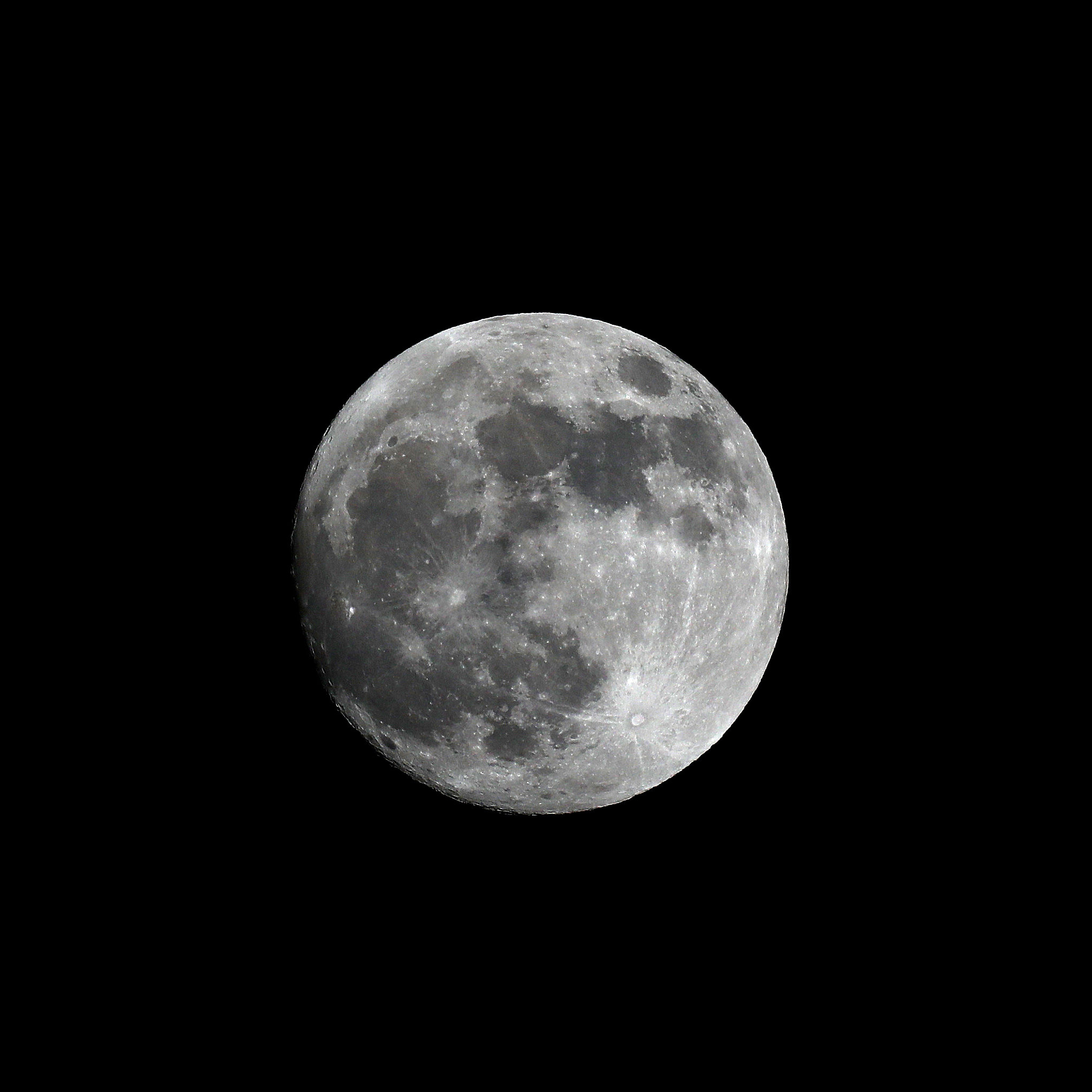 243A7391s.jpg