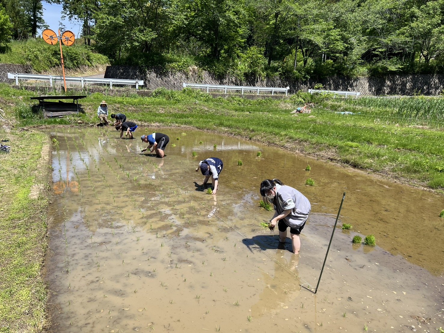 20240515 2024年田植え.jpg
