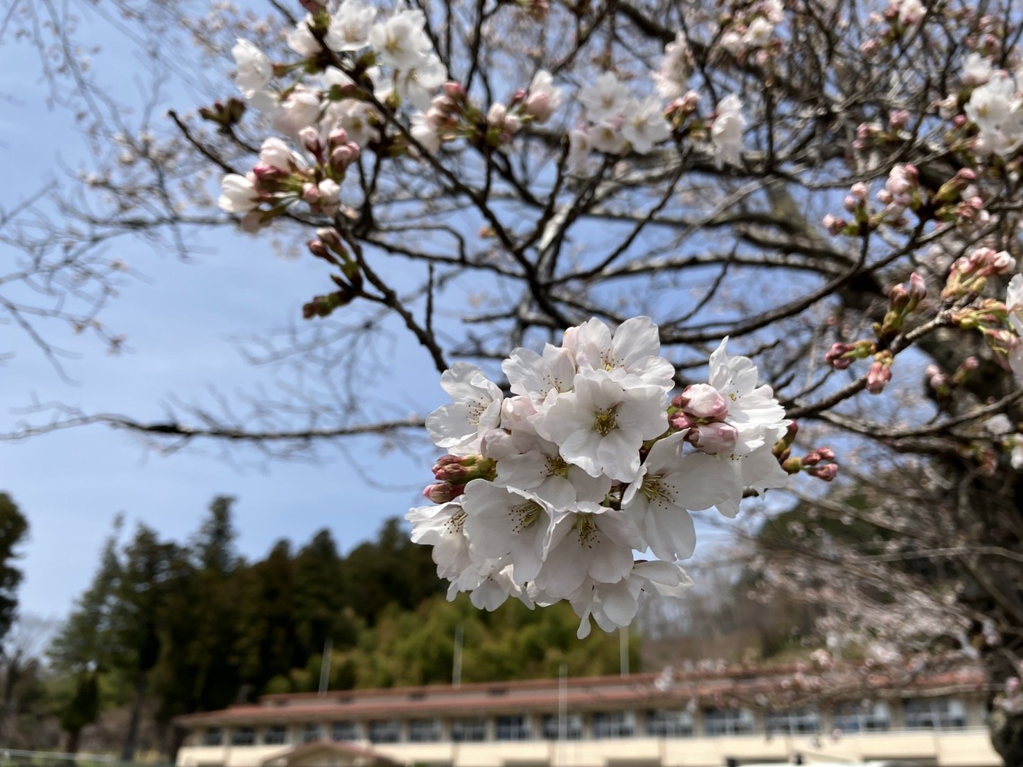 S__4726791.jpg