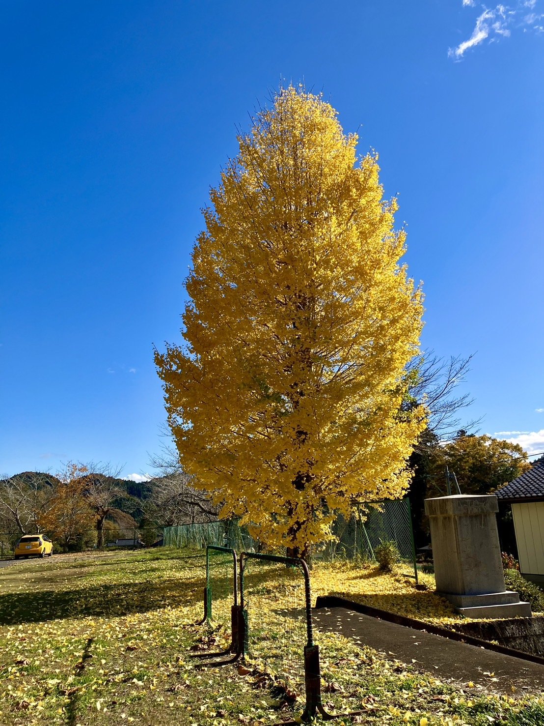 3S__4505615.jpg