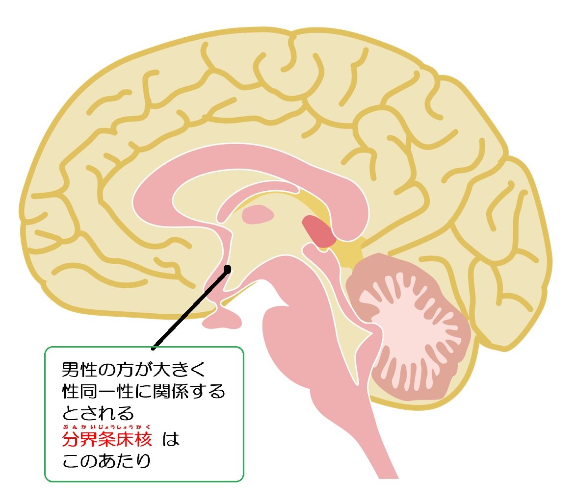 ぶんかいじょうしょうかく.jpg