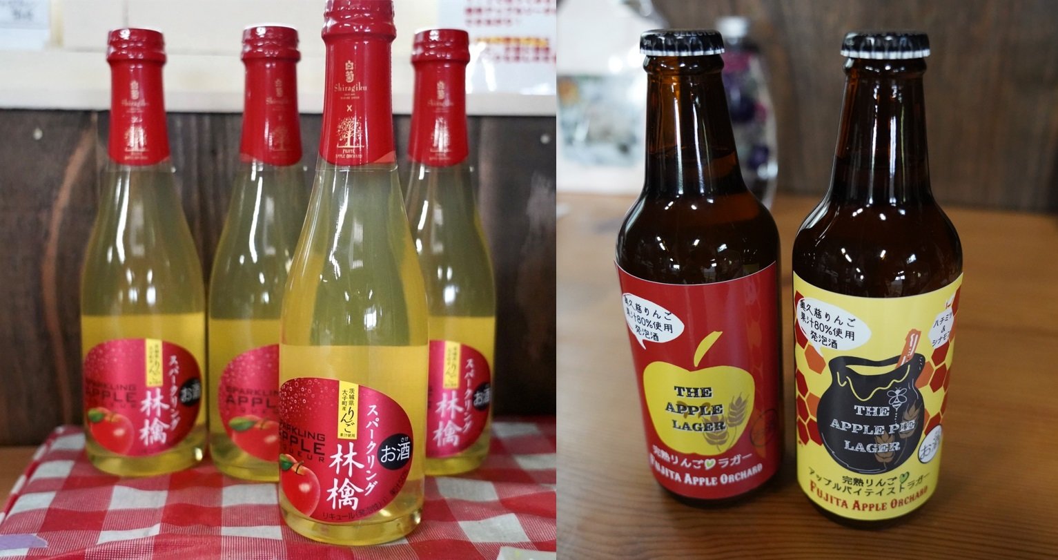 リンゴのスパークリング酒とビール.jpg