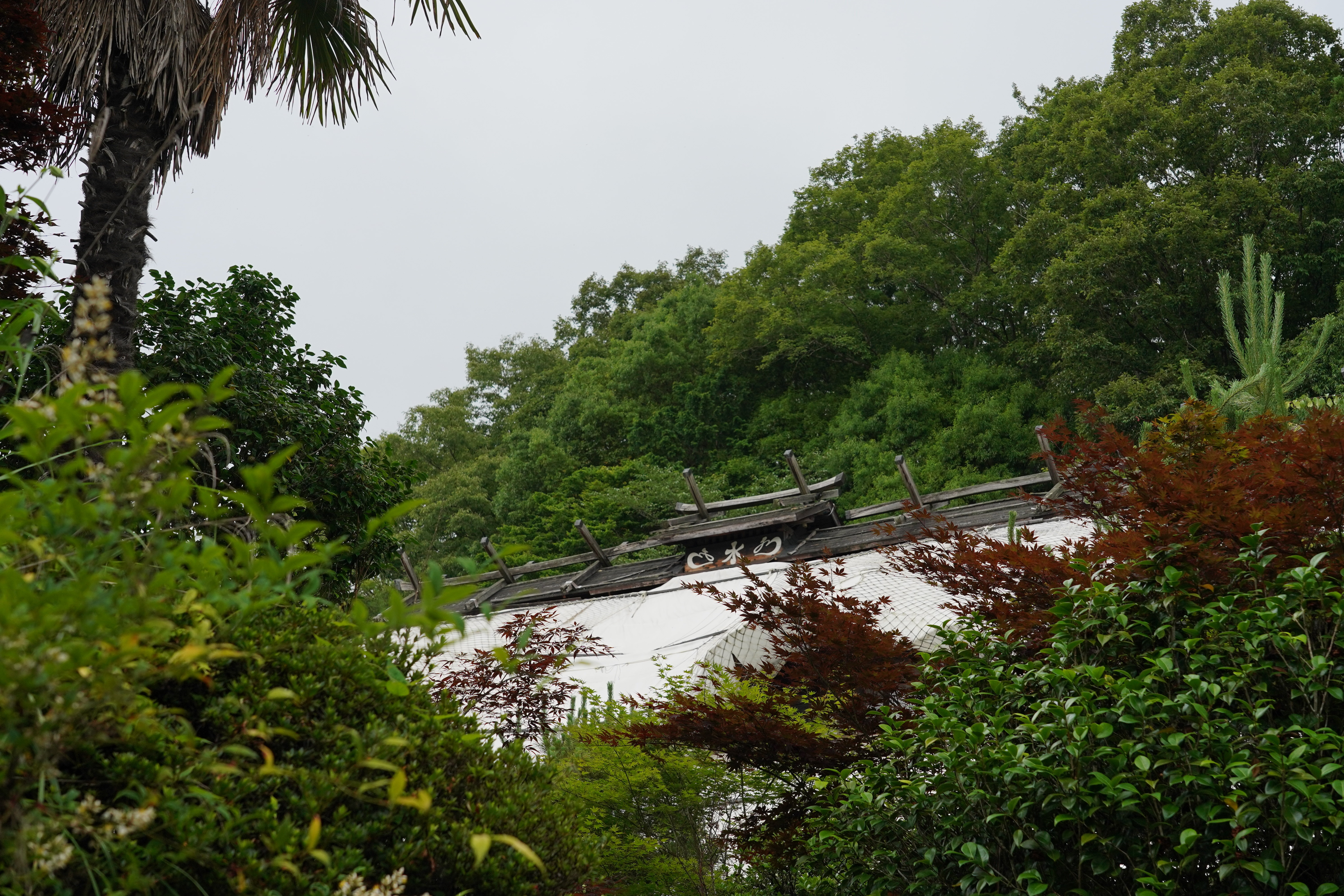 DSC06497.JPG