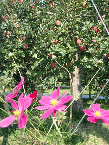 PA190275.png