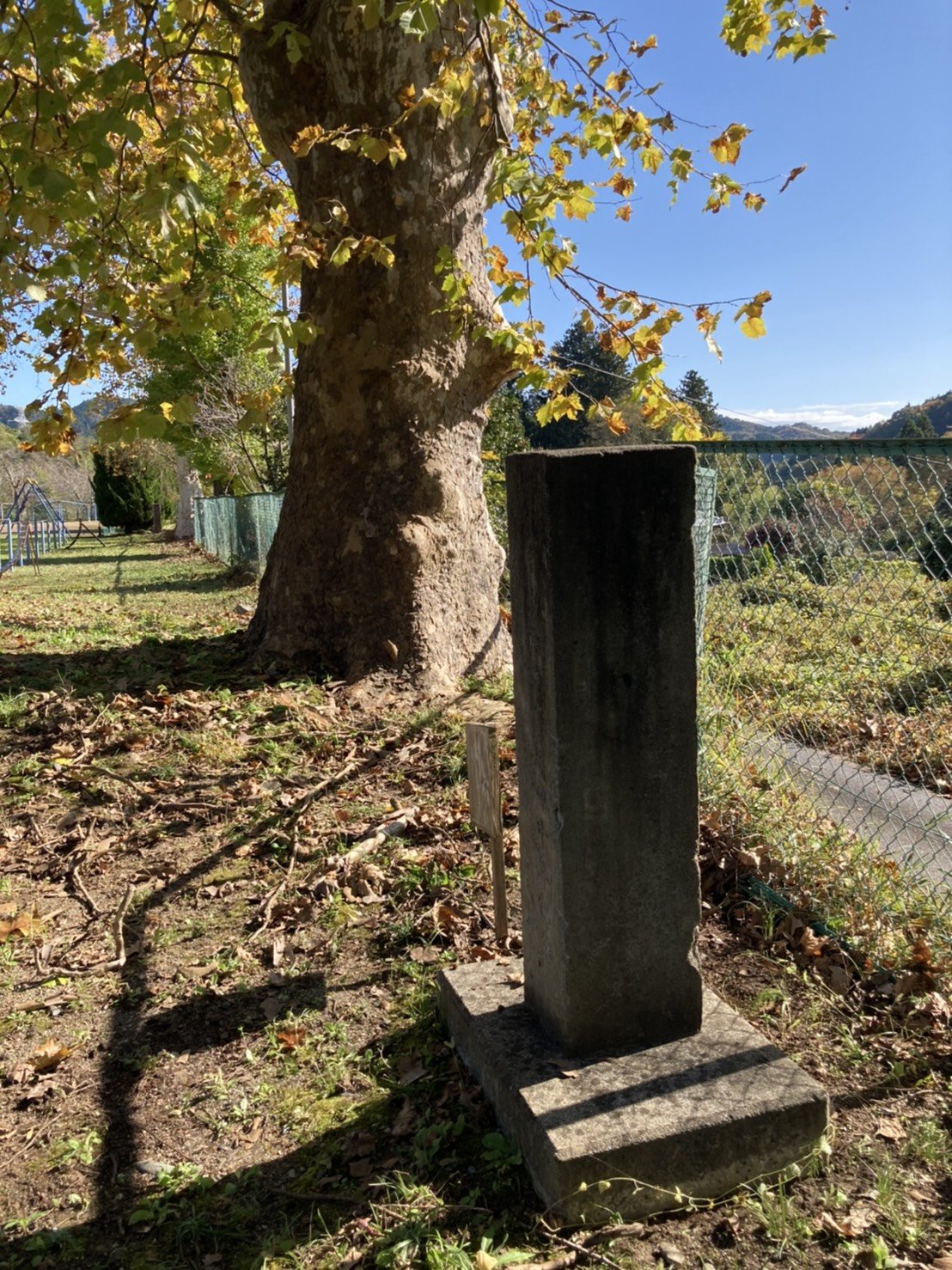S__2236434.jpg