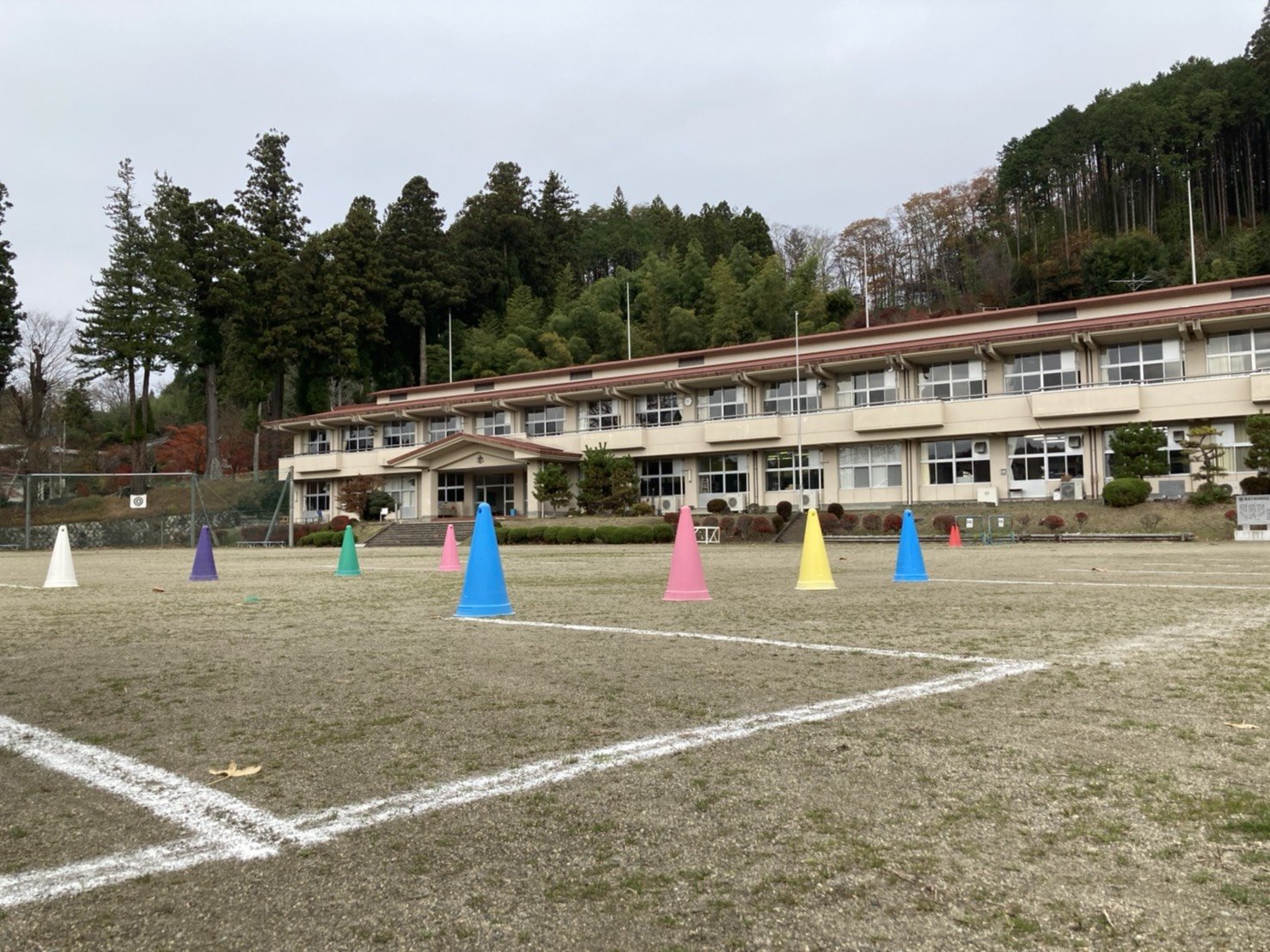 S__2383878.jpg