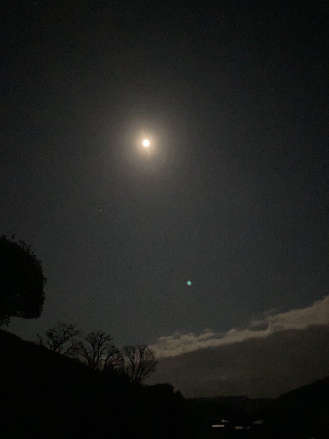 S__2416685.jpg