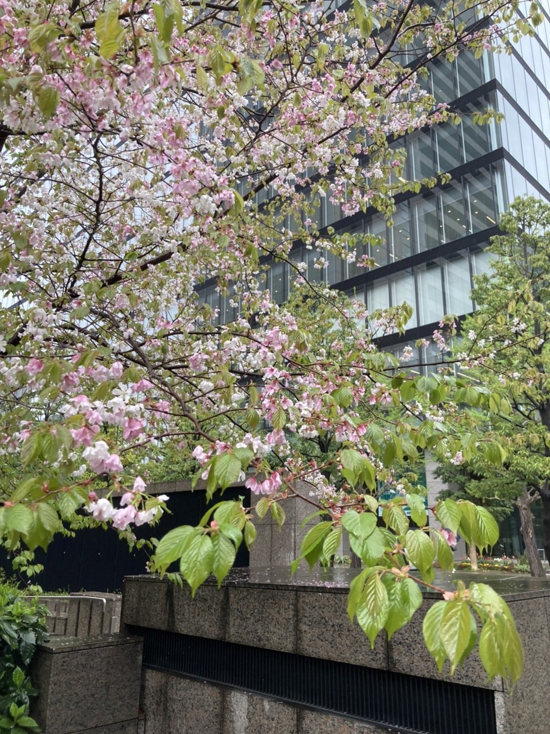 S__7856136.jpg
