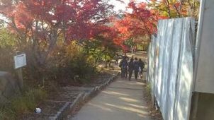 誕生日に高尾山登頂（by ルネ高3年生りんご）