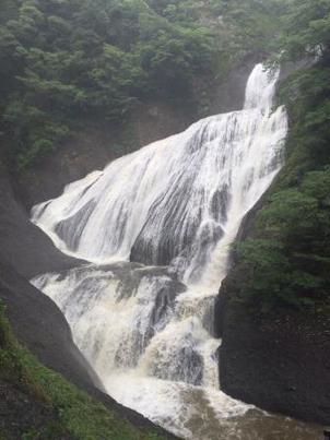 梅雨の楽しみ方