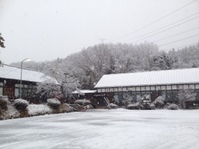 雪の大子町❄