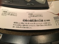 国立科学博物館へ