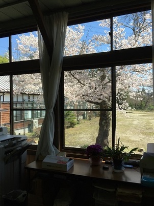 桜とルネサンス高等学校