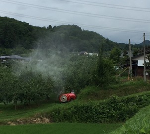 真っ赤なスポーツカー?