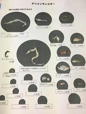 チリメンモンスターで背骨のある動物、ない動物