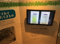 博物館や水族館で「自分で見つけること」の大切さ