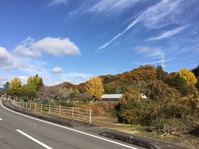 お伝えできていますか ?
