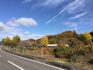 お伝えできていますか ?