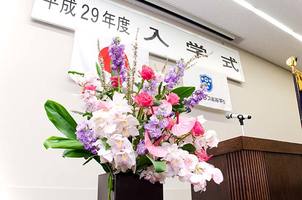 【在校生】ブログ初チャレンジ！入学式のできごと（1年生チェリー）
