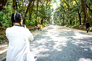 【在校生】体育の授業と写真サークルの練習で明治神宮！（1年生：ピーチ＆チェリー）