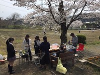桜満開の下、第1回アクティビティ2017開催!