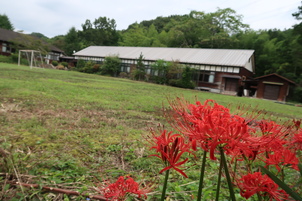 お彼岸近し