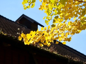 色づく木々、秋のルネ高