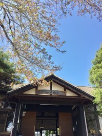 お葉見&BBQ ...2018アクティビティ始動!