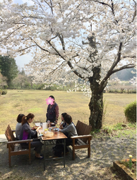 café 桜、開店です!!　　