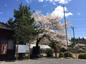 ルネ高の校舎は、国の有形文化財 !