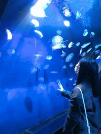 サンシャイン水族館で動画撮影　【通学コース】