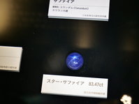 通学コースのイベント：特別展「宝石」に行ってきました。