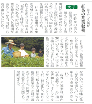 ルネ茶葉の手摘み風景