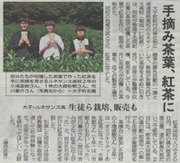 ルネ紅茶の取り組み、新聞にも載りました!!