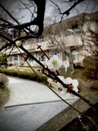 令和4年度 卒業証書授与式 式辞