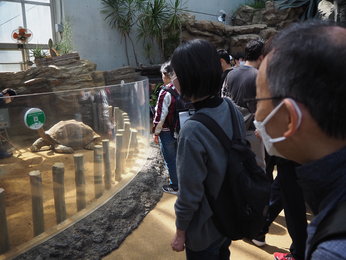 上野動物園に行ってきました[通学スタンダードコース]
