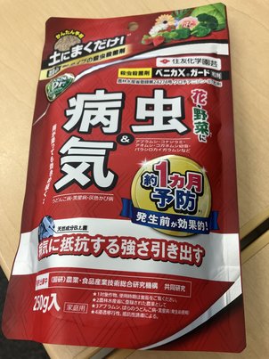 エノキにつくエノキワタアブラムシの防除（２）