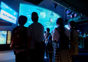 【新宿代々木】ルネ中等部で江ノ島遠足行ってきました～　新江ノ島水族館編
