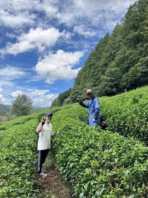 ルネ紅茶 Coming Sooooooooon!!