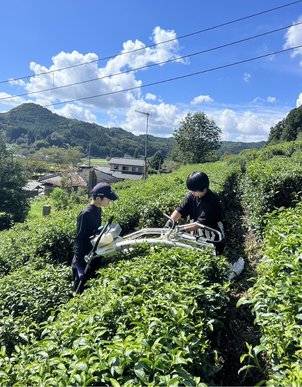ルネ紅茶 Coming Sooooooooon!!  2