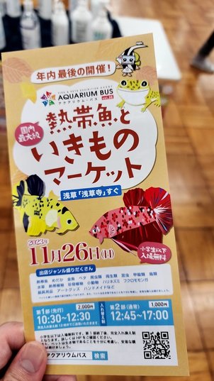 【横浜】職員の休日～ルネ高アクアリウム部の野望～