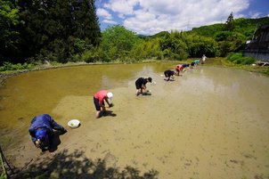 田植え体験しましたぁー !!